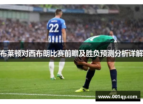布莱顿对西布朗比赛前瞻及胜负预测分析详解