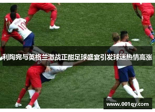 利陶宛与英格兰激战正酣足球盛宴引发球迷热情高涨